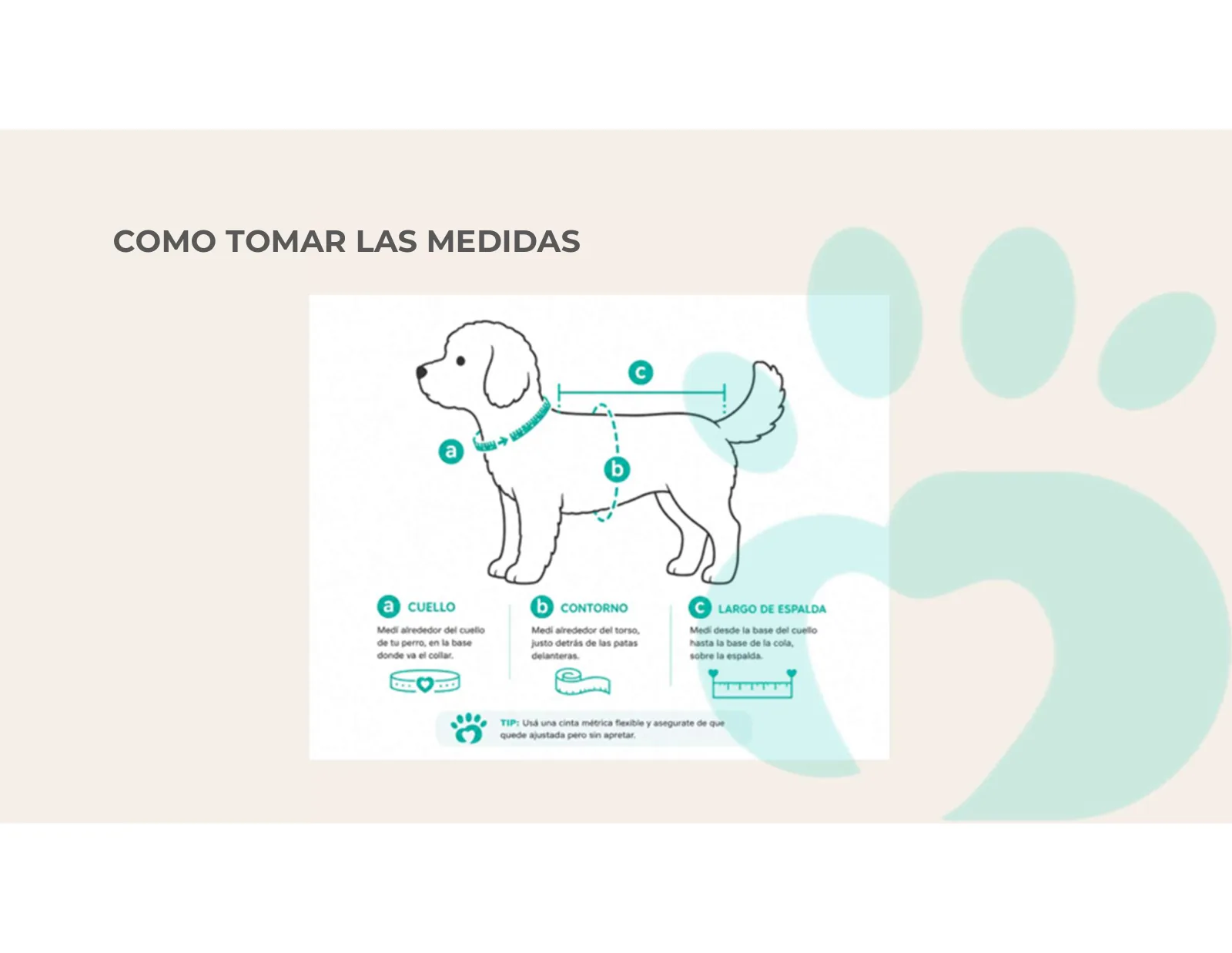 Página 32 de 33: COMO TOMAR LAS MEDIDAS